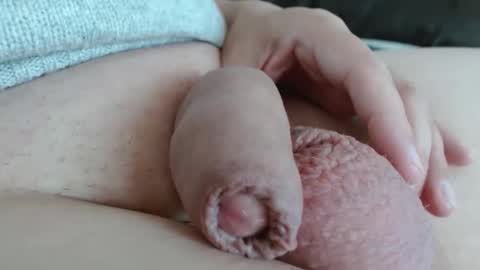 Damocles online show from 11-01-25, 02:19