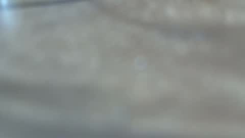 dancewhenyoucan9 online show from 12-22-25, 10:51