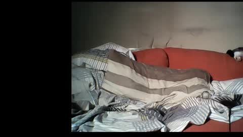 Snapshot of dane1982 chatting on 01-01-25, 04:39 dane1982 online show from 01-01-25, 04:39