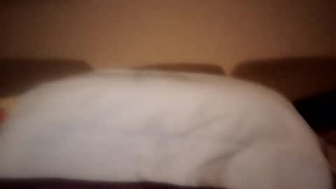 Snapshot of dani225812 chatting on 09-18-25, 08:44 Dani225812 online show from 09-18-25, 08:44