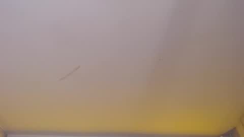 dania_b_ online show from 11-05-25, 03:06