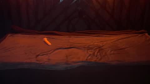 Snapshot of danielareign chatting on 12-20-25, 07:26 danielareign online show from 12-20-25, 07:26