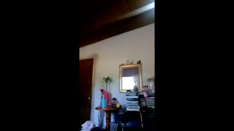 danielledelrey online show from 02-03-26, 12:21