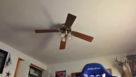 Daniel    y. online show from 10-22-25, 11:15