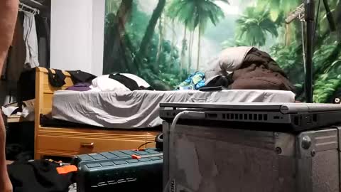 danimal5000 online show from 09-17-25, 03:19