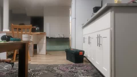 danimal5000 online show from 11-18-25, 04:00