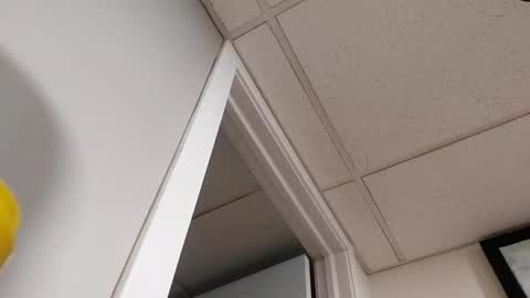 danimal5000 online show from 03-05-26, 07:10