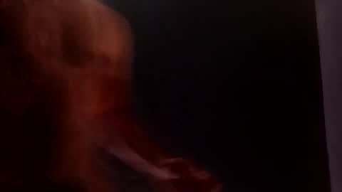 Snapshot of daniwood473904 chatting on 04-04-26, 03:38 daniwood473904 online show from 04-04-26, 03:38