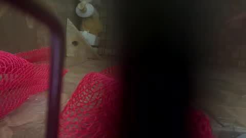 Snapshot of dankcock69420 chatting on 11-17-25, 05:24 dankcock69420 online show from 11-17-25, 05:24