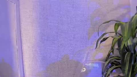 Snapshot of danna_ortega_ chatting on 04-28-26, 11:26 Danna Ortega online show from 04-28-26, 11:26
