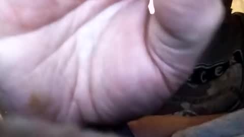 dannowisc online show from 02-01-26, 12:37