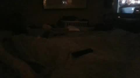 Snapshot of dannyb618 chatting on 12-24-24, 02:43 Danielle online show from 12-24-24, 02:43