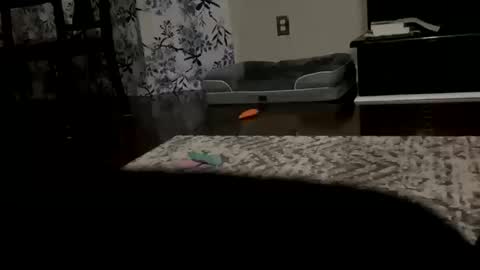 dannyboy621 online show from 10-20-25, 09:43