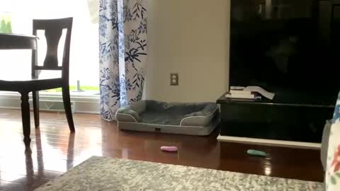 dannyboy621 online show from 10-25-25, 01:18