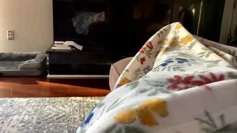 dannyboy621 online show from 10-26-25, 01:17