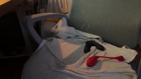 Dante online show from 11-18-25, 07:13