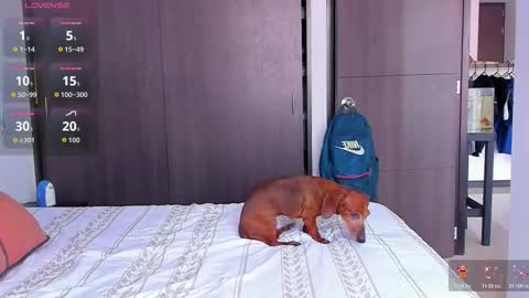 danyfitguy_ online show from 11-09-25, 05:11