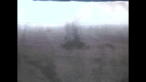 danyvdh online show from 12-13-24, 08:51