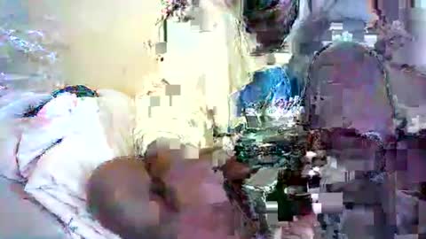 daphne online show from 05-04-26, 10:44