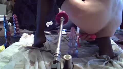 daqna1 online show from 04-11-26, 07:56