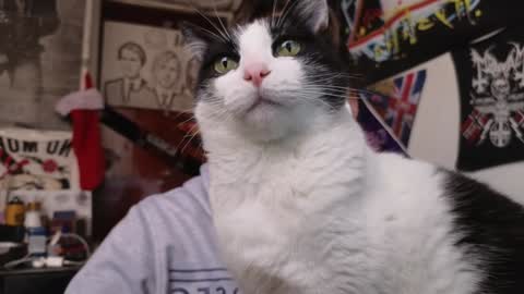 Darkness online show from 12-05-24, 10:12