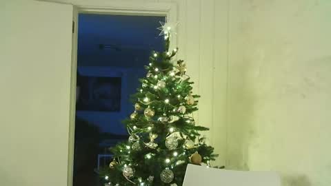 Dario online show from 12-25-24, 07:56