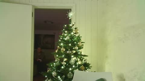 Dario online show from 01-03-25, 04:06