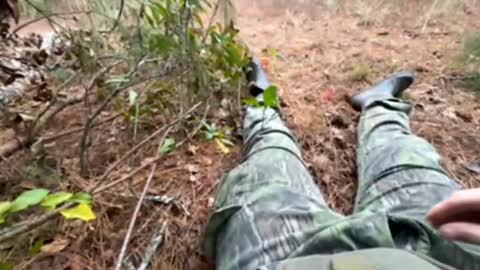 datboinate online show from 11-02-25, 09:28