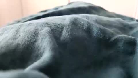 davdao3 online show from 02-16-25, 01:27