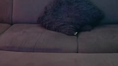 Snapshot of davesbabe14 chatting on 01-08-25, 12:49 Sophie Dave online show from 01-08-25, 12:49