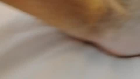 david1982yesyes online show from 03-02-26, 02:02