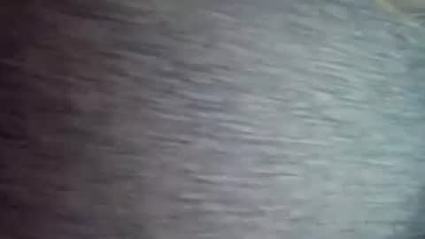 Snapshot of david3031438 chatting on 04-12-26, 11:37 David1438 online show from 04-12-26, 11:37