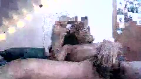 Snapshot of david69992347976413 chatting on 02-16-25, 02:10 David Berry online show from 02-16-25, 02:10