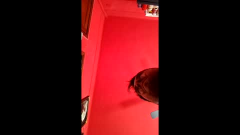 david_argentina online show from 01-11-26, 06:35