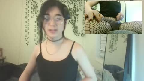 deciduousdoll online show from 12-15-25, 07:01