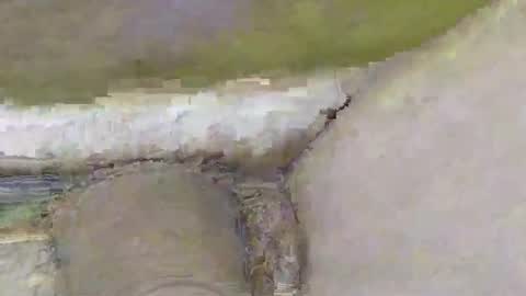 Dive Deep online show from 11-02-25, 02:08