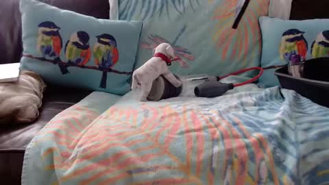 deeperjohnny online show from 10-21-25, 03:35