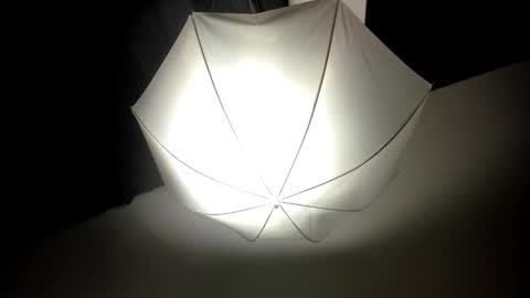 Snapshot of dei_v_48 chatting on 02-14-25, 08:31 DEIVY online show from 02-14-25, 08:31