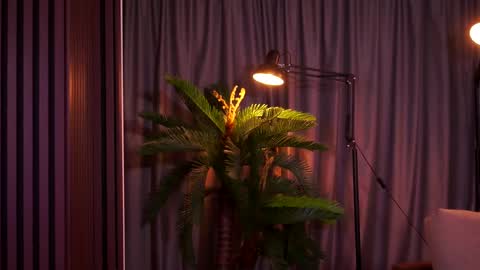 Delilah online show from 02-07-26, 09:07