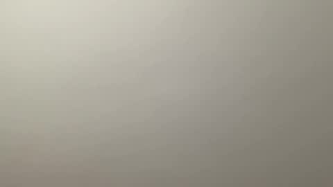 Delivery      online show from 12-19-24, 12:34