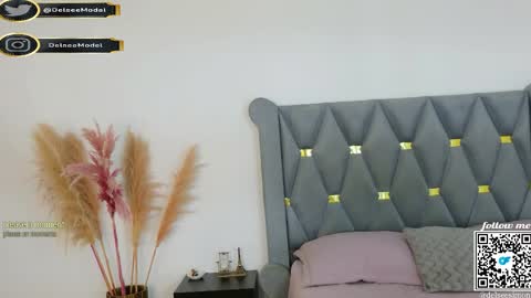  Delsee   online show from 05-06-26, 08:25
