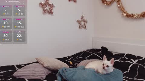 Demi. not your babybabebb and other shit online show from 12-25-24, 10:50