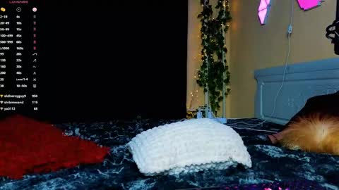 Snapshot of demmi_foxy chatting on 02-15-25, 12:48 Demmi online show from 02-15-25, 12:48