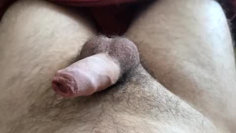 LilRoach online show from 12-01-25, 03:17