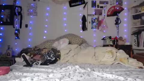 Snapshot of devilg1rl chatting on 01-29-25, 07:36 poutyangel online show from 01-29-25, 07:36