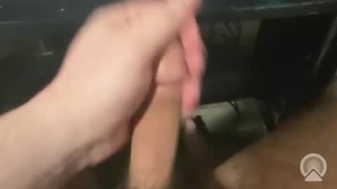 Snapshot of devin255395 chatting on 12-03-25, 07:45 devin255395 online show from 12-03-25, 07:45