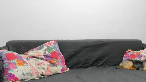 Misha online show from 02-03-25, 07:07