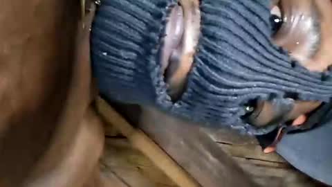 Snapshot of dhbbc454336 chatting on 10-02-25, 07:15 Marcus D-von Steel as the raunchy ass sniffer thrill me with your online show from 10-02-25, 07:15