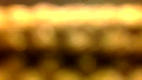 Snapshot of dhbbc454336 chatting on 04-11-26, 10:41 Marcus D-von Steel as the raunchy ass sniffer thrill me with your online show from 04-11-26, 10:41