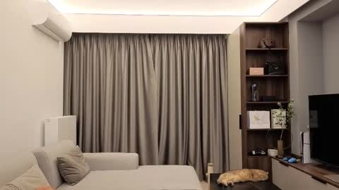 Iris online show from 12-13-25, 09:09